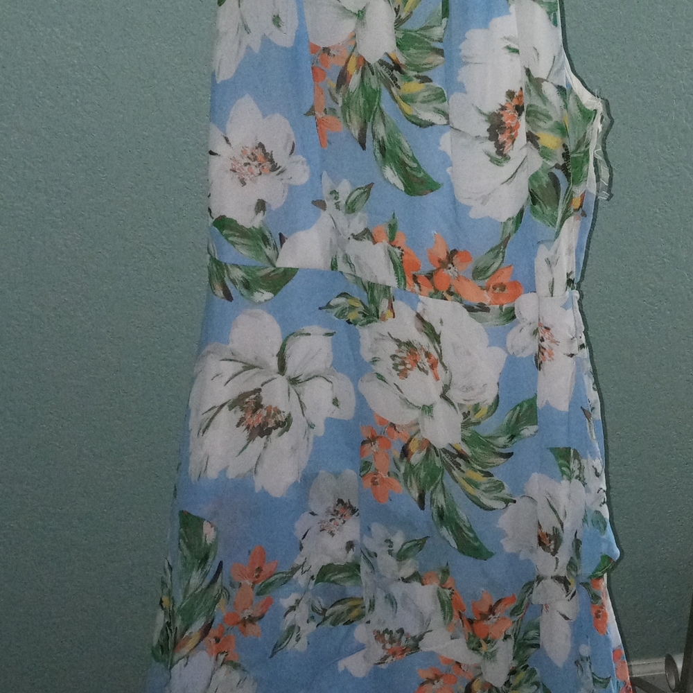 Long dress